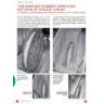 The Mercer Rubber Improved Method of Steam Curing - Bulletin
